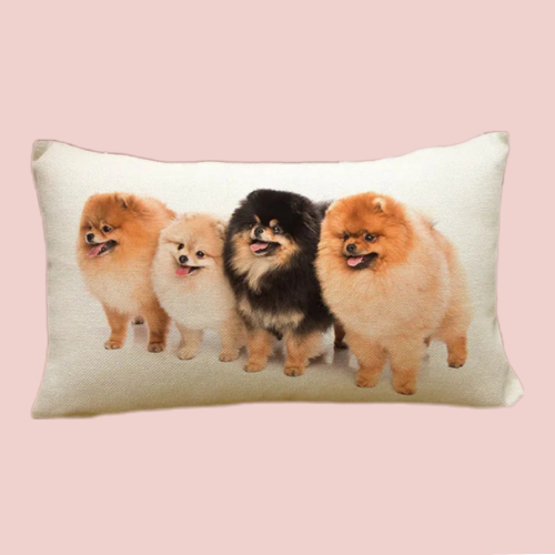 Housse de coussin imprimée pomeranians