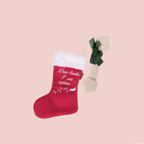 Chaussette de Noël