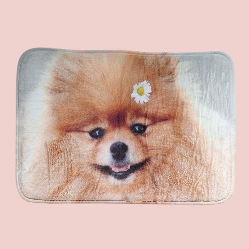 Tapis absorbant Pomeranian 4