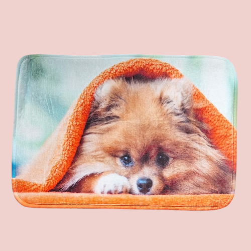 Tapis absorbant Pomeranian 3