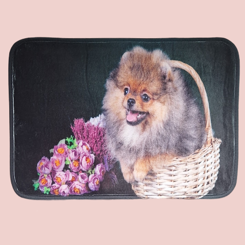 Tapis absorbant Pomeranian 2