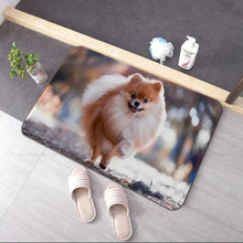 Charger l&#39;image dans la galerie, Tapis absorbant Pomeranian 1
