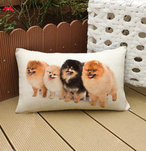 Charger l&#39;image dans la galerie, Housse de coussin imprimée pomeranians
