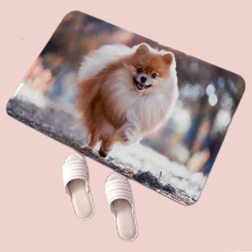 Tapis absorbant Pomeranian 1